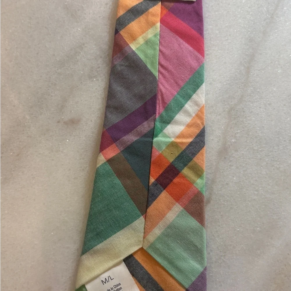 3/$15 Boys Multicolor Plaid and Gray Dino Ties